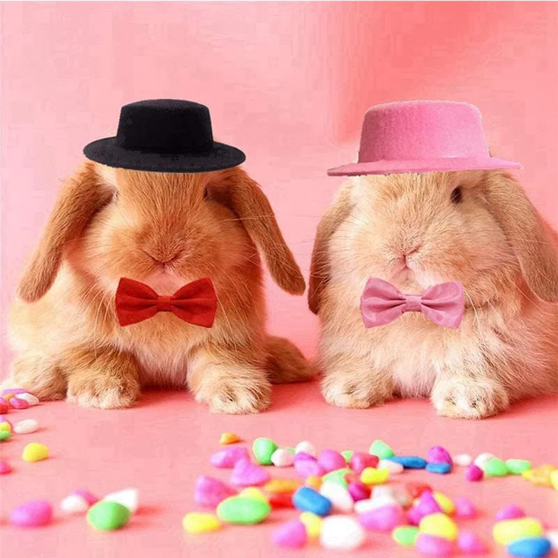 2 Teile/satz Meerschweinchen Hut und Fliege Hamster Kostüm Outfit Ratten Chinchilla Coole Haustier Kaninchen Kappe Hut Kleine Haustier Artikel Zubehör – Detail 6