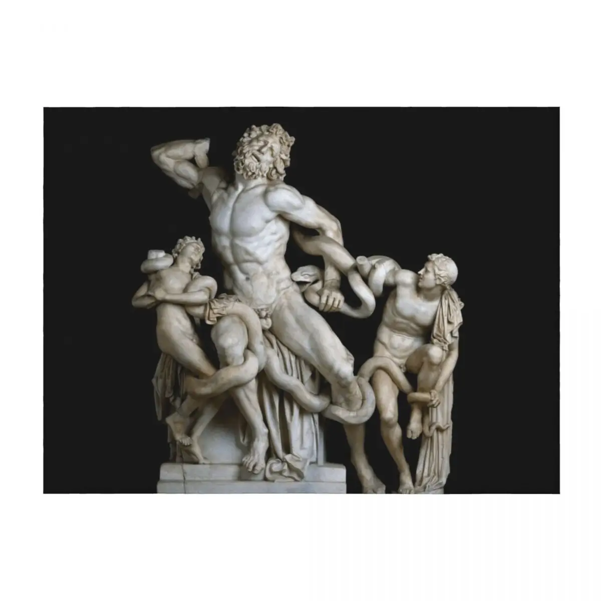 

Laocon and His Sons Marble Statue Throw Blanket Warm Sofas Single Flannel Fabric Blankets
