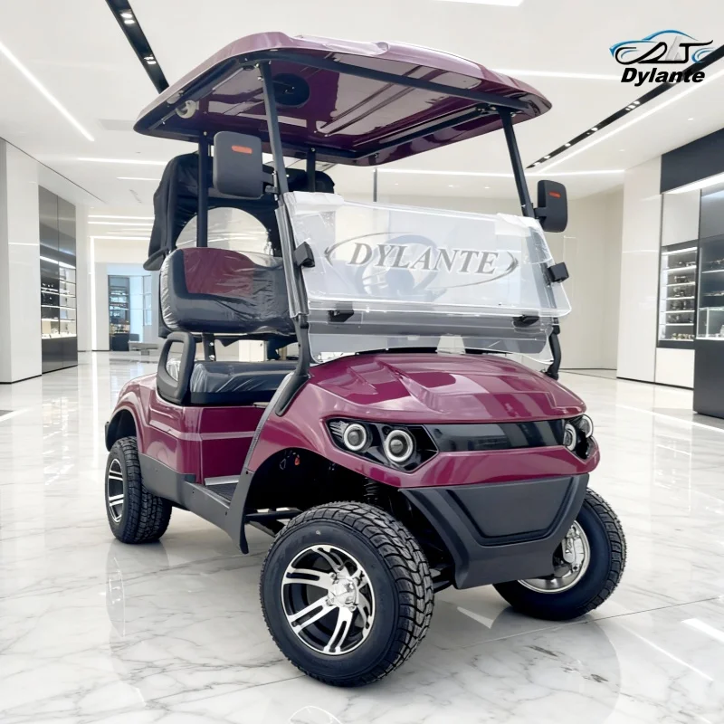 Factory 2-Seater Electric Golf Cart With High-Efficiency 48V AC Motor Long-Range 120AH Lithium Battery All-Terrain Vehicle
