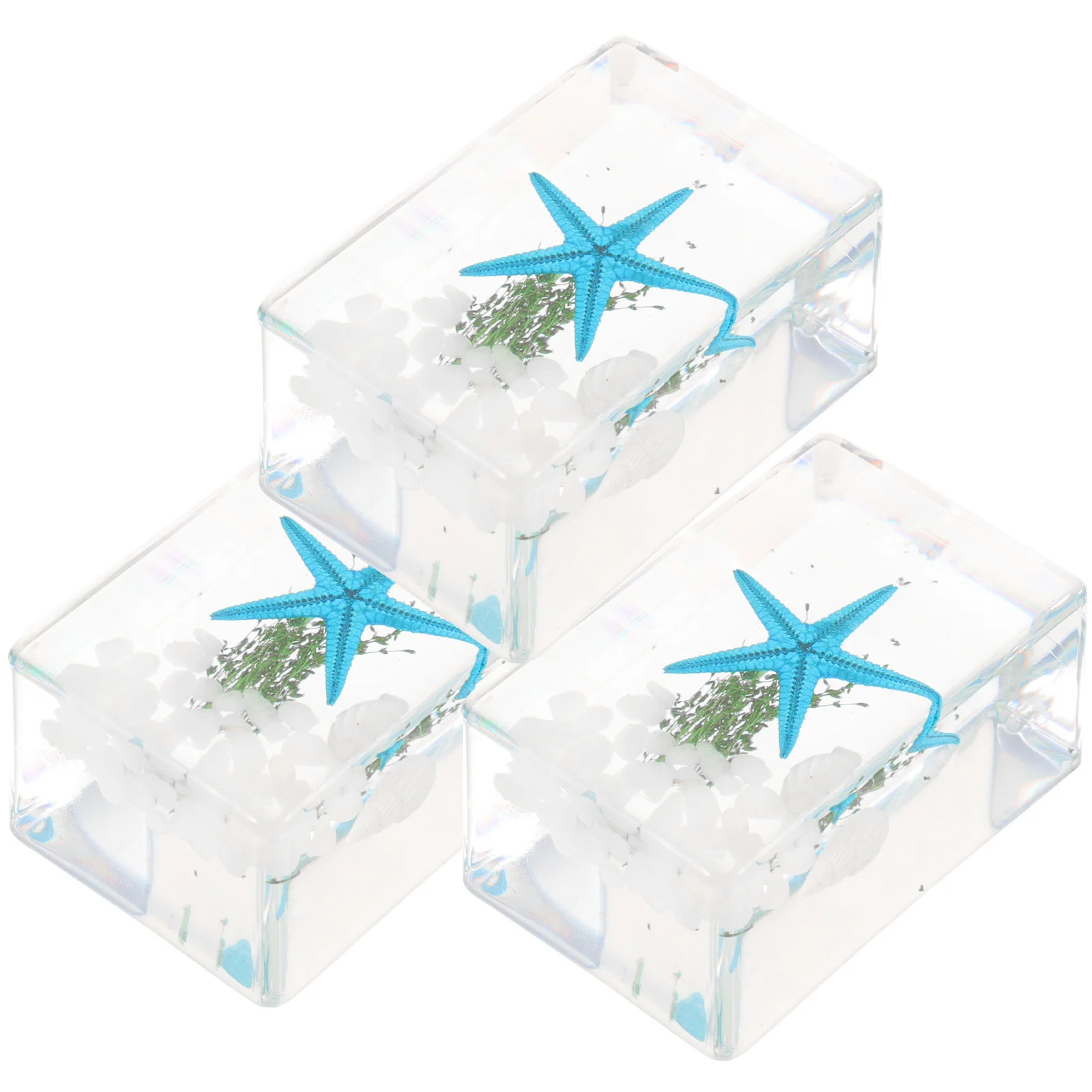 

3Pcs Resin Specimen Ocean Animal Decor Decorative Desktop Ornament Delicate Clear Resin Decoration for Home Office