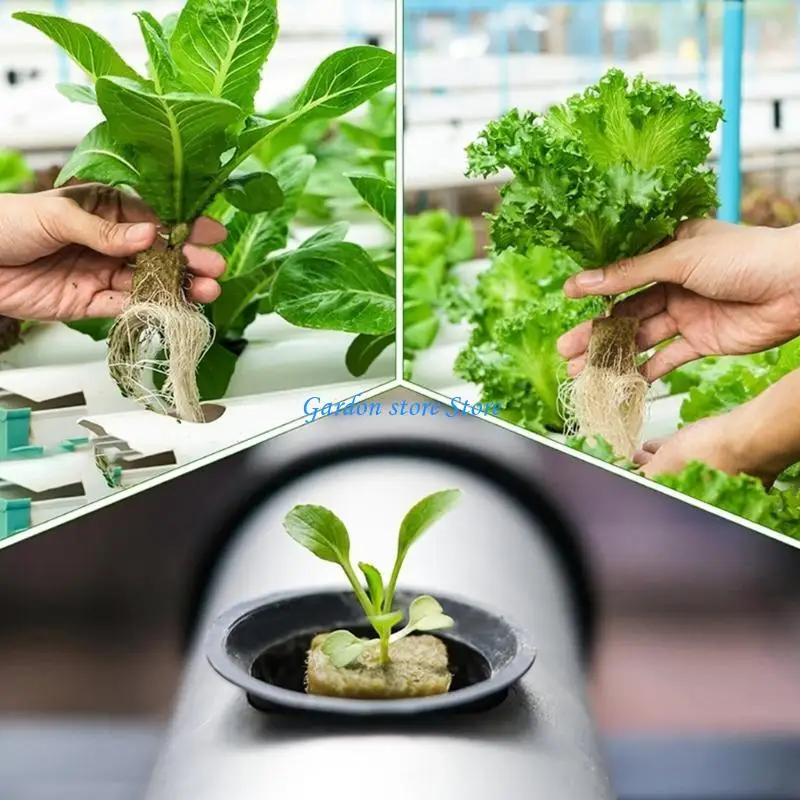 B0KB الصخور الصوف مكعبات البذور بذرة النمو مكعبات لمكعبات صخور صخرية الزراعة مكعبات استنساخ مكعبات الاستنساخ الزراعة الزراعة #5