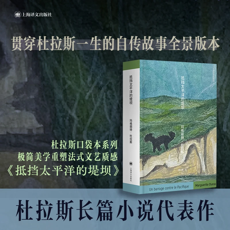 

Морская стена: роман колониального борьбы и устойчивости человека