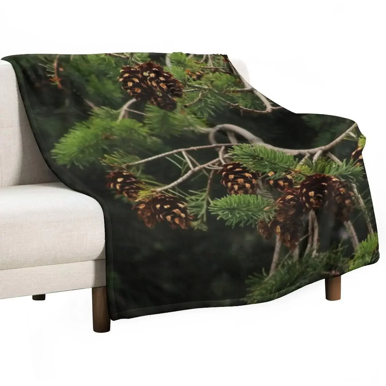 Douglas Fir Pinecones II Throw Blanket Thin Thermal Blankets