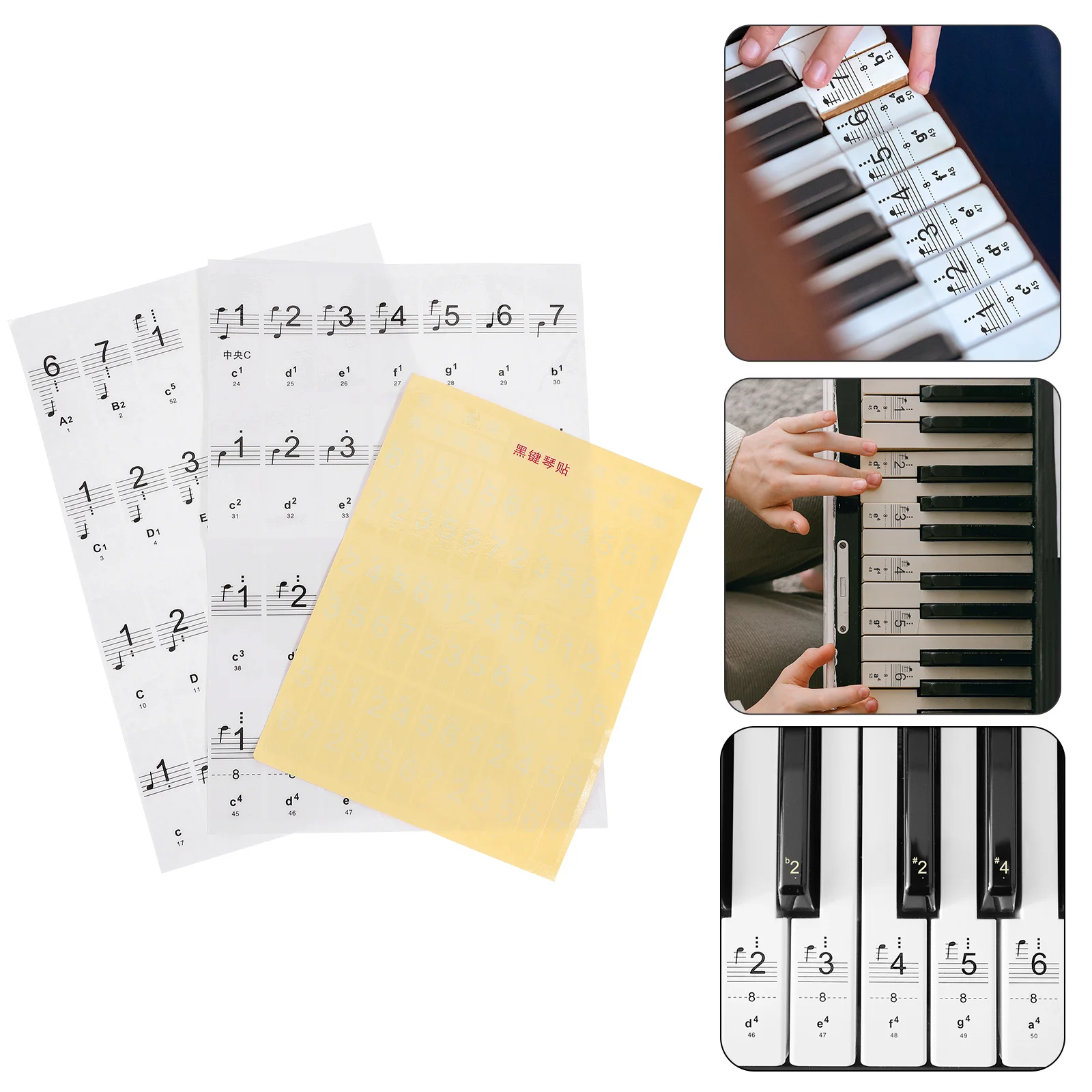

Durable Piano Keyboard Sticker Black White Clear Print Long Time Use Easy Installation Removal Great for Gifts