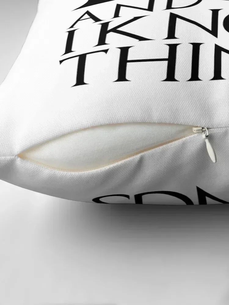 I drink and I know things - Tyrion Lannister Throw Pillow Sofa Cushions Cover bed pillows pillow