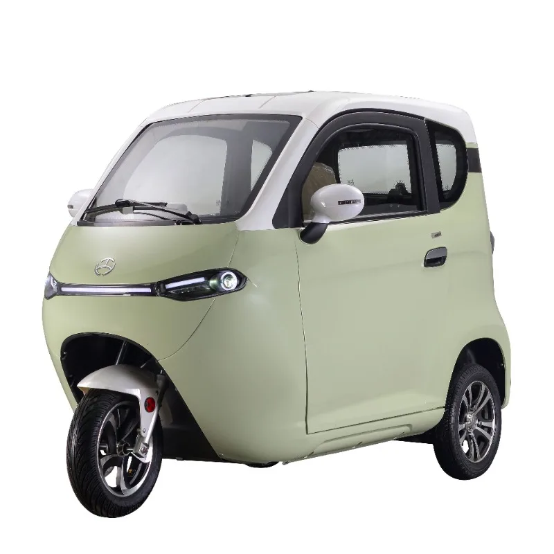 Three Wheel Covered Motorcycle Adult Electric Tricycle