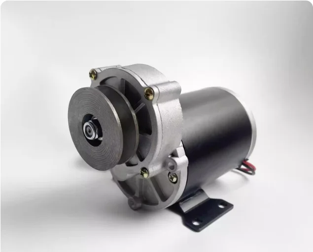 

Двигатель постоянного тока с высоким крутящим моментом 12 В 24 В 500 Вт 200 об/мин для выпечки сельскохозяйственного оборудования