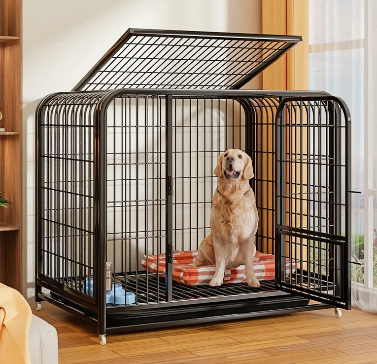 Separation of large indoor toilets for dogs in dog cages