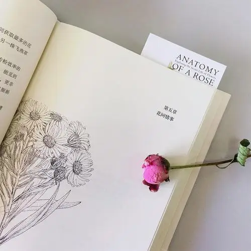 The Secret Life of Flowers - Dangdang - Book - Official Version