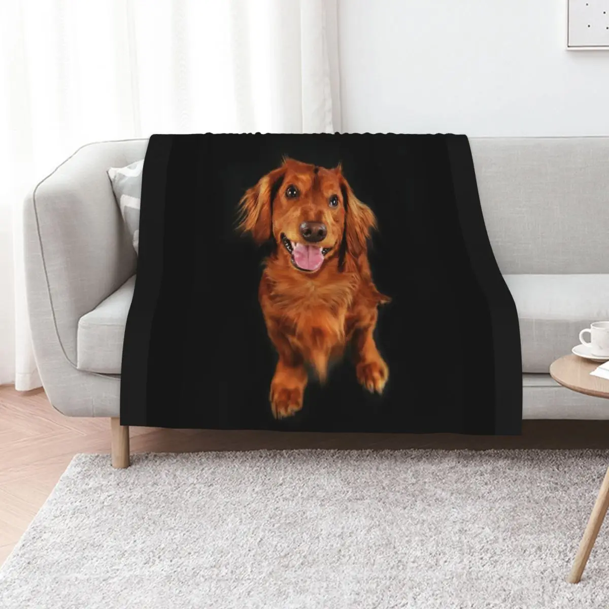 Dachshund long hair, dachshund looks funny Throw Blanket Sofas Plush blankets ands Soft Plush Plaid Large Blankets