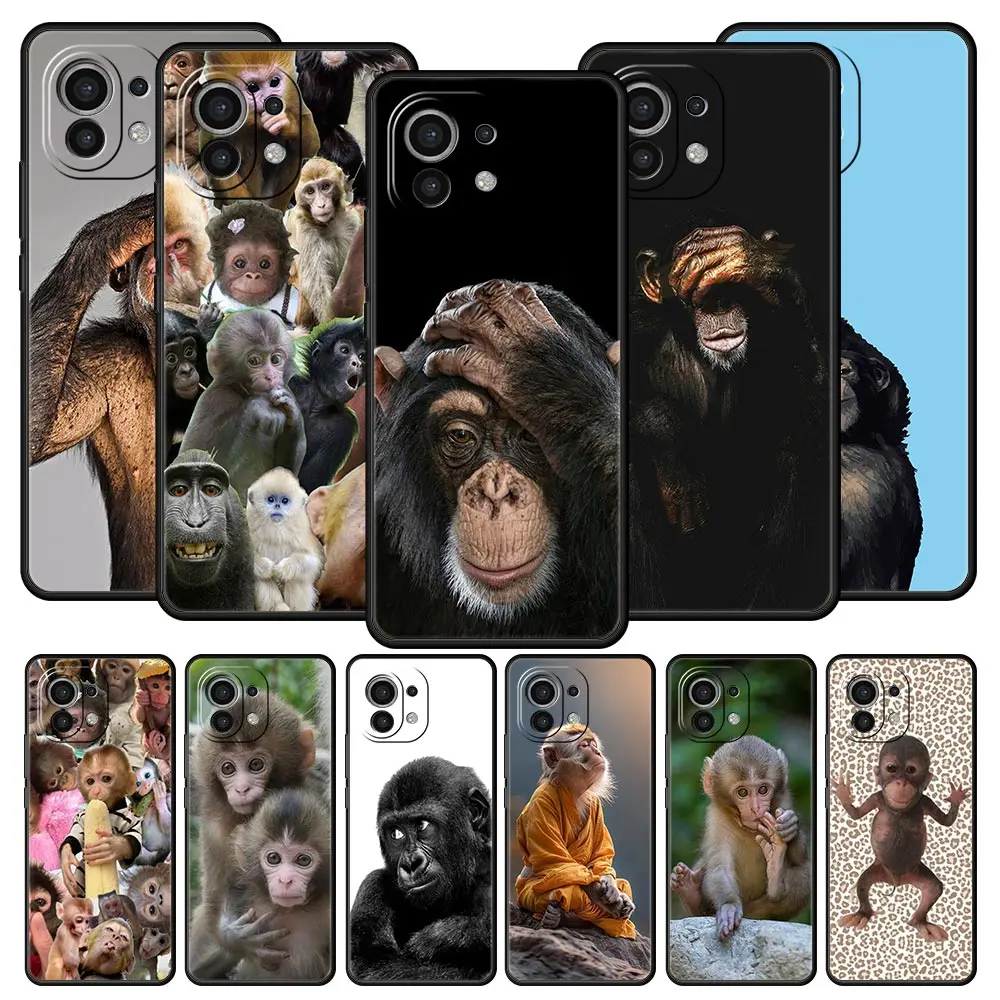 Cute Funny Monkey P… - image