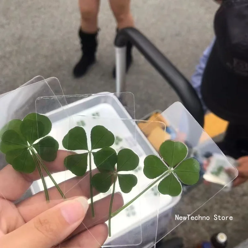 1pcs Lucky Clover Postcards Natural Grass Transparent Wishing Cards Ideal for Bookmarks & Decorations Perfect Holiday Gifts