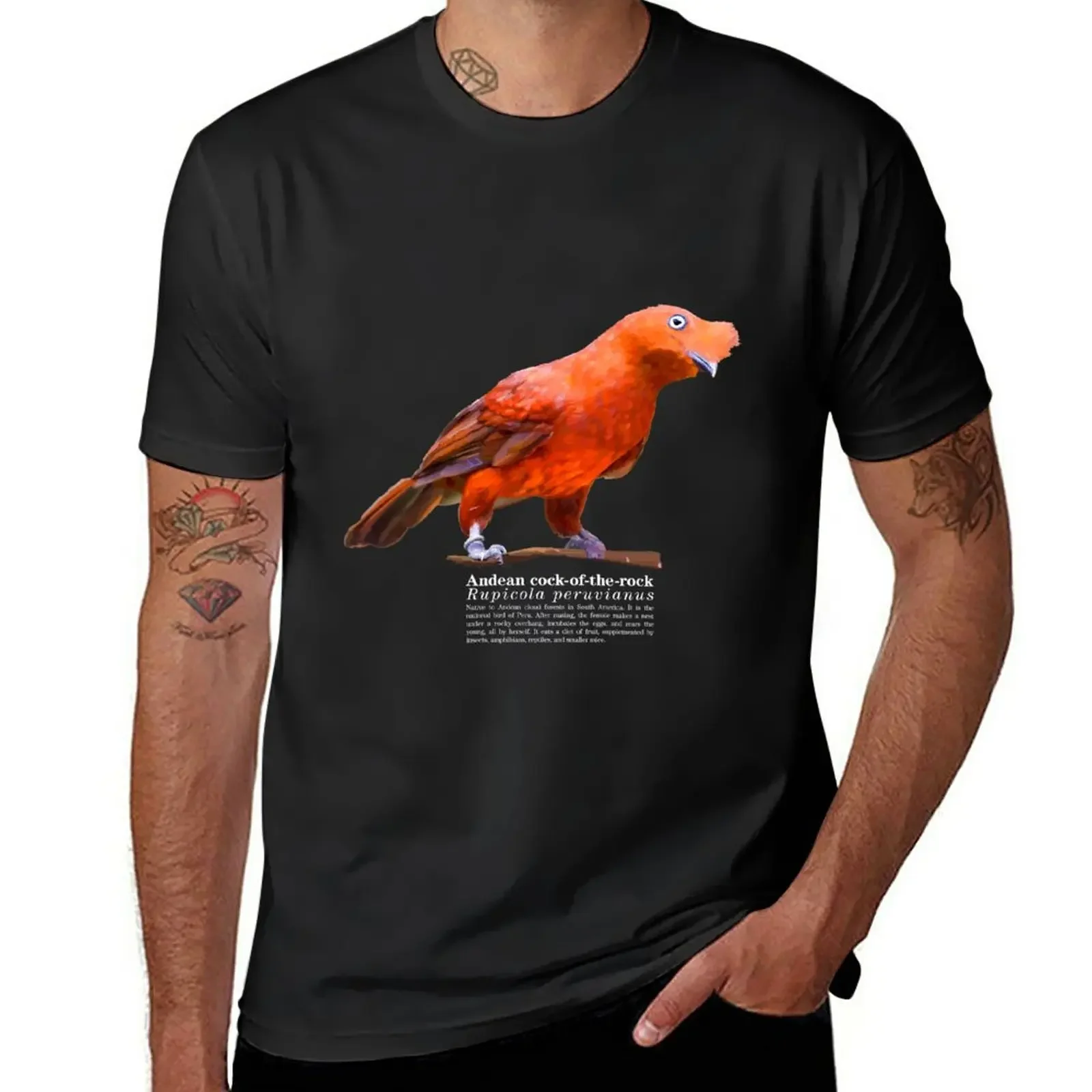 Andean cock-of-the-rock bird on the rocks T-Shirt plus size tops korean fashion clothes for men