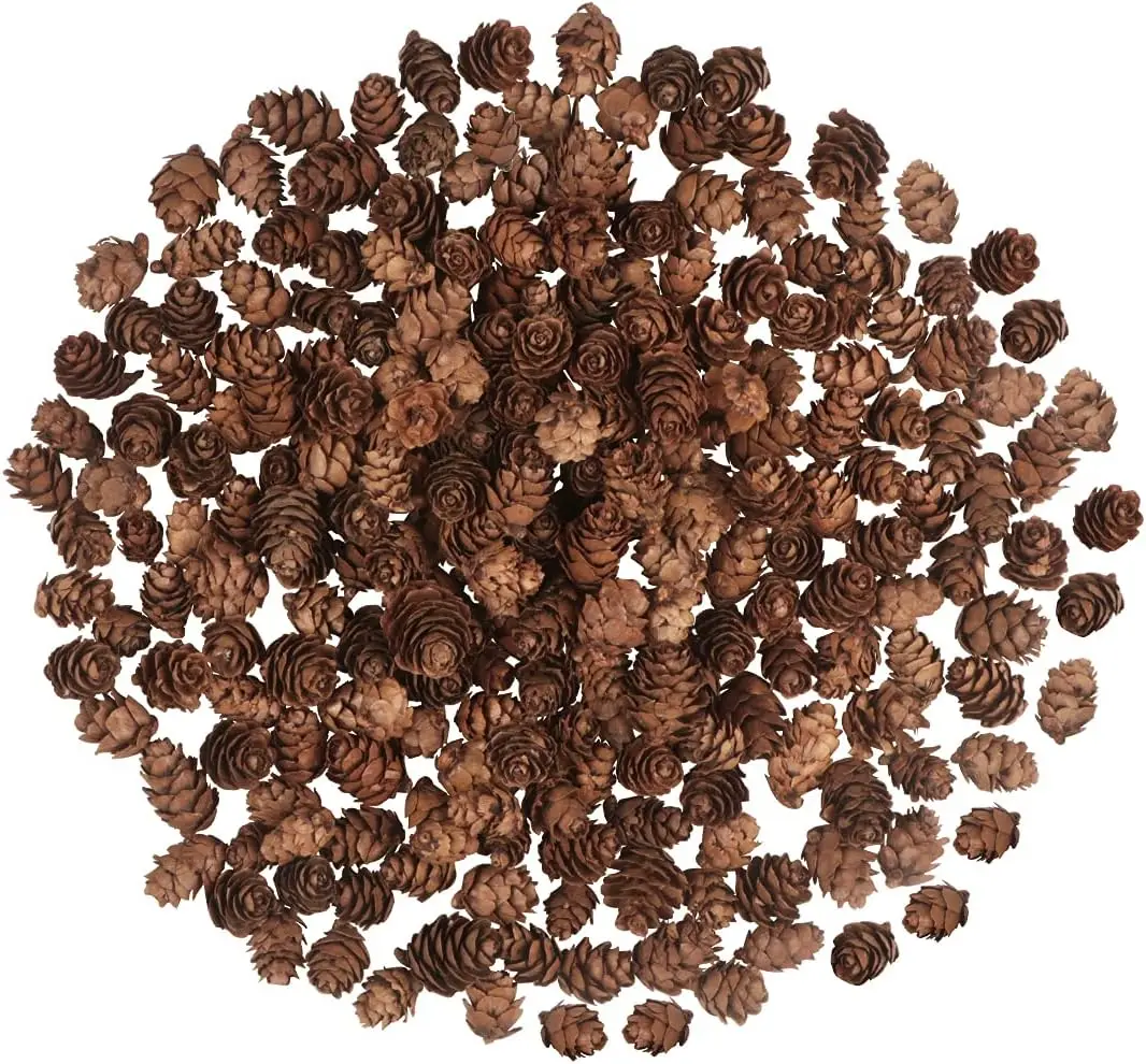 

100PCS Christmas Natural Pine Cones Mini Fall Decorations Small Pinecone Ornaments for DIY Crafts Winter Xmas Decor Vase Filler