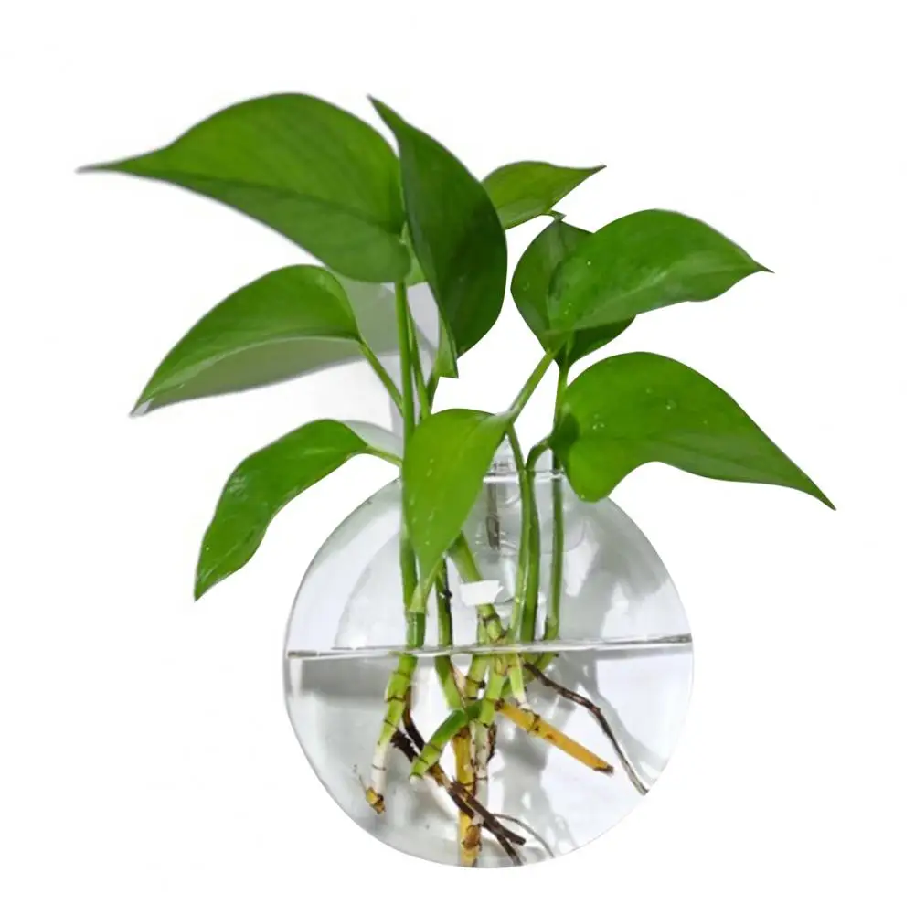 Wandhängende Glas-Pflanzgefäße, Klare Blumenvase für Hydrokultur-Pflanzen, Wandmontierte Terrarien-Vermehrungsstation für Badezimmer und Zuhause