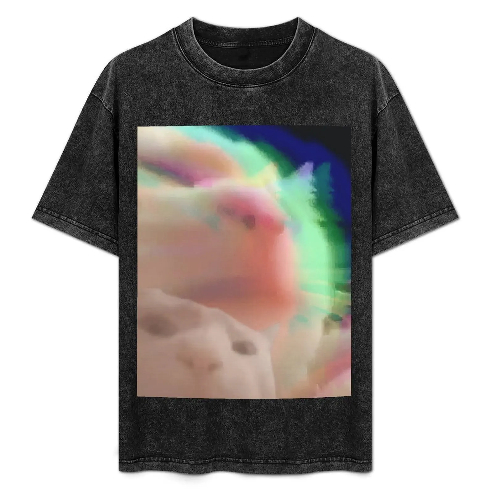 

Funny cat vibing meme in a trippy, glitchy, rainbow aesthetic. A vibing cat is a chilled cat T-Shirt