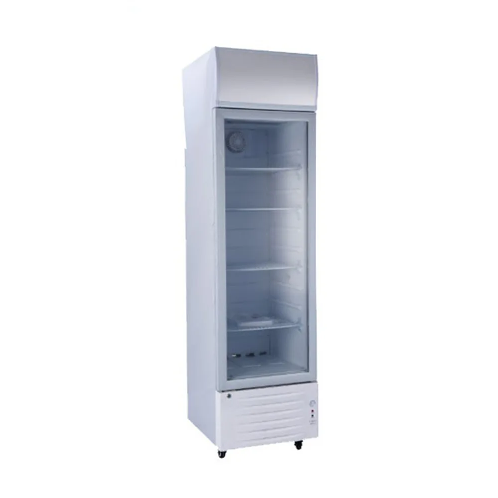 Solar Powered Upright Refrigerator Freezer Display Cabinet DC 12V24V Commercial Household LC 218