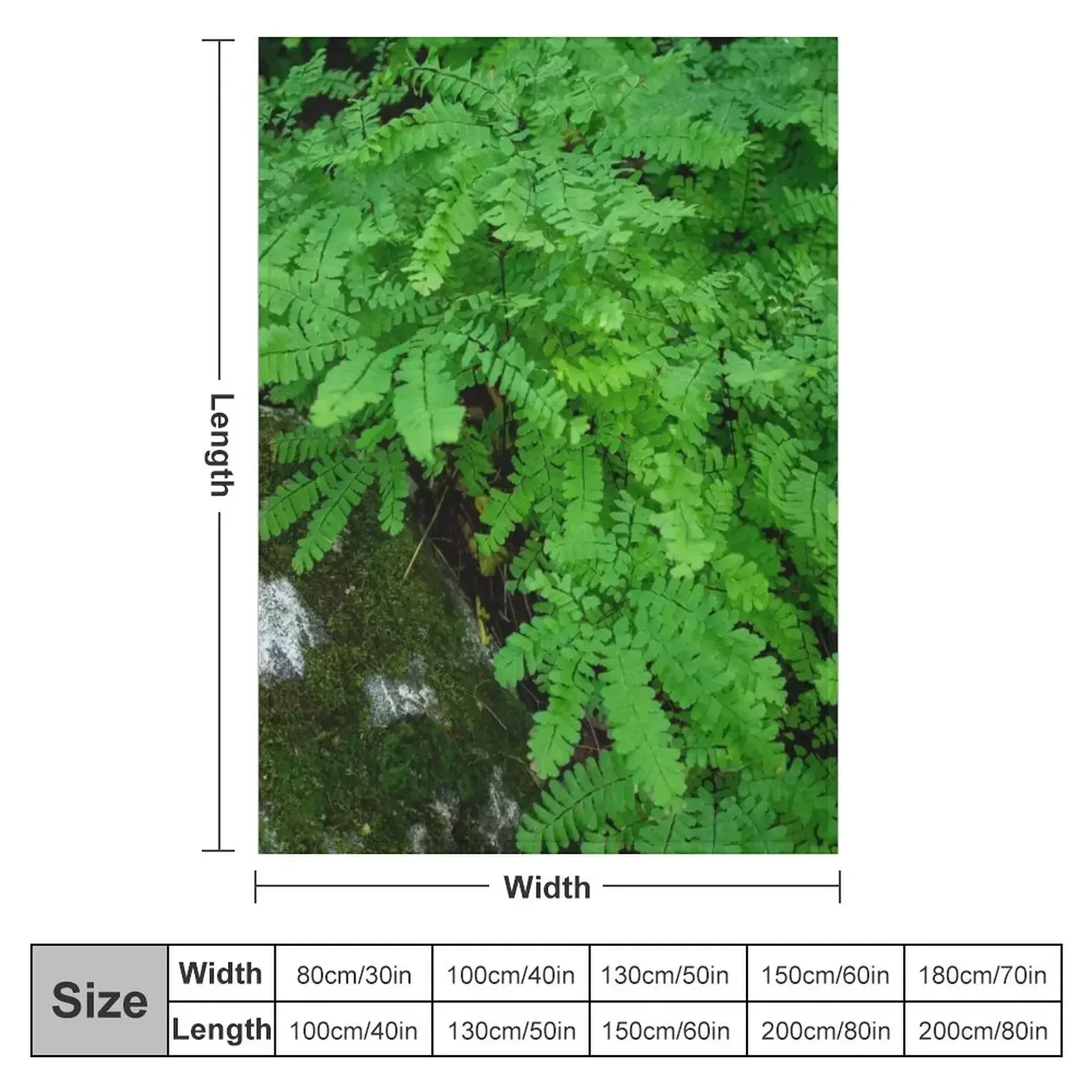 Mossy Rock and Ferns Throw Blanket couch cozy soft plush fuzzy picnic outdoor blanket
