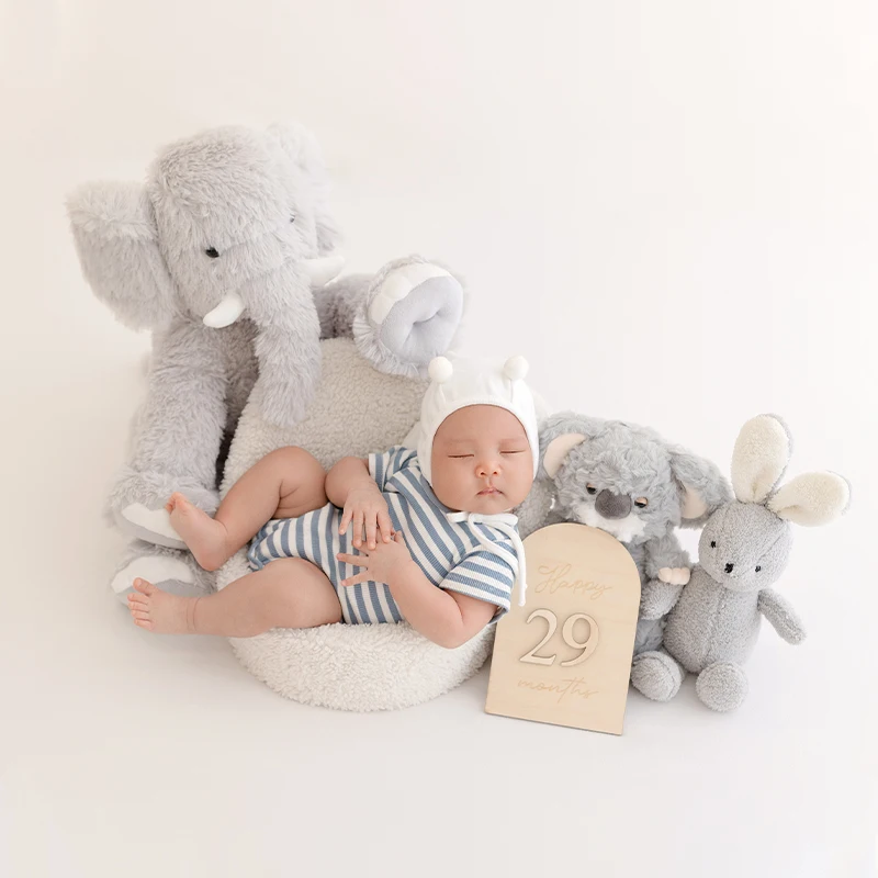 Summer Newborn Photography Doll Theme Stripes Set Cute Wind Koala Rabbit Doll Photography Props Baby Birth Memorial Photo Props