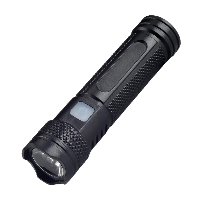 AliExpress cycle zone Portable UV Flashlight 365NM Rechargeable Mini Ultraviolet Torch Black Light Flashlights for Pet Stacks Fluorescent Detection