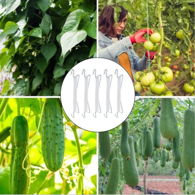 AB02 Garden Plant Support Tomato Support J Hook Tomato Plant Holder Binder Anti-Crush Hooks Rope Length 10M