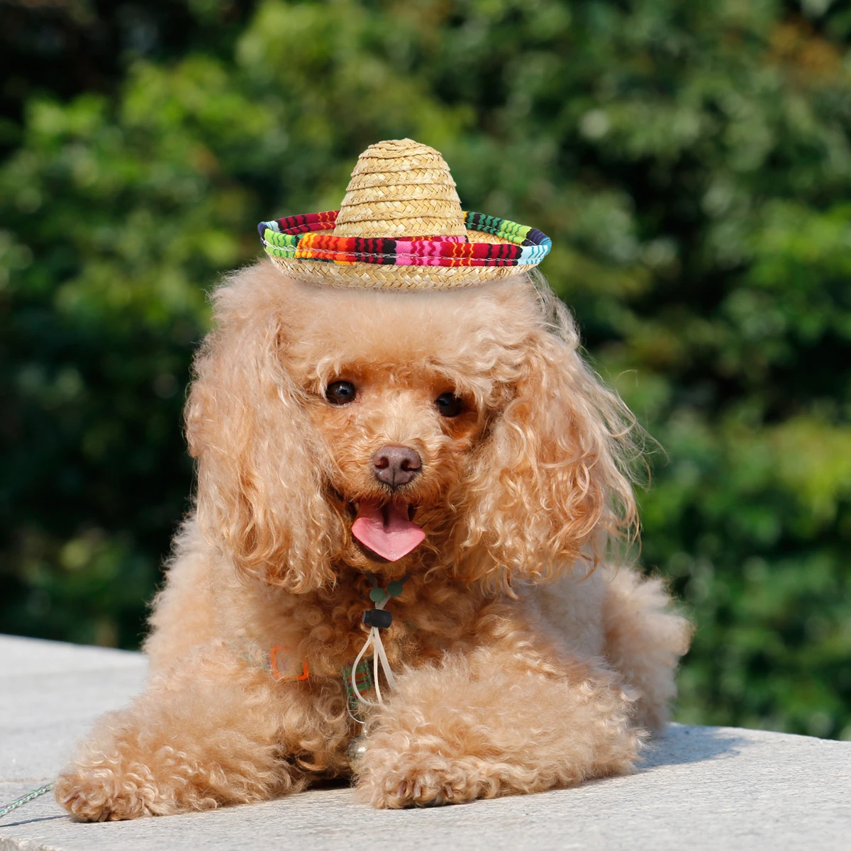 

Straw Dog Sombrero Hat One Size Fits All Adjustable Cord Pet Costume Halloween Cinco De Mayo Christmas Gift Mexican Party