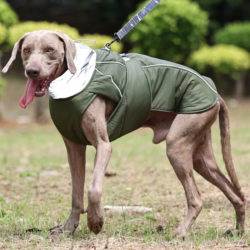 Thumbnail 4 - #49 Latest Waterproof Dog Jackets Offers