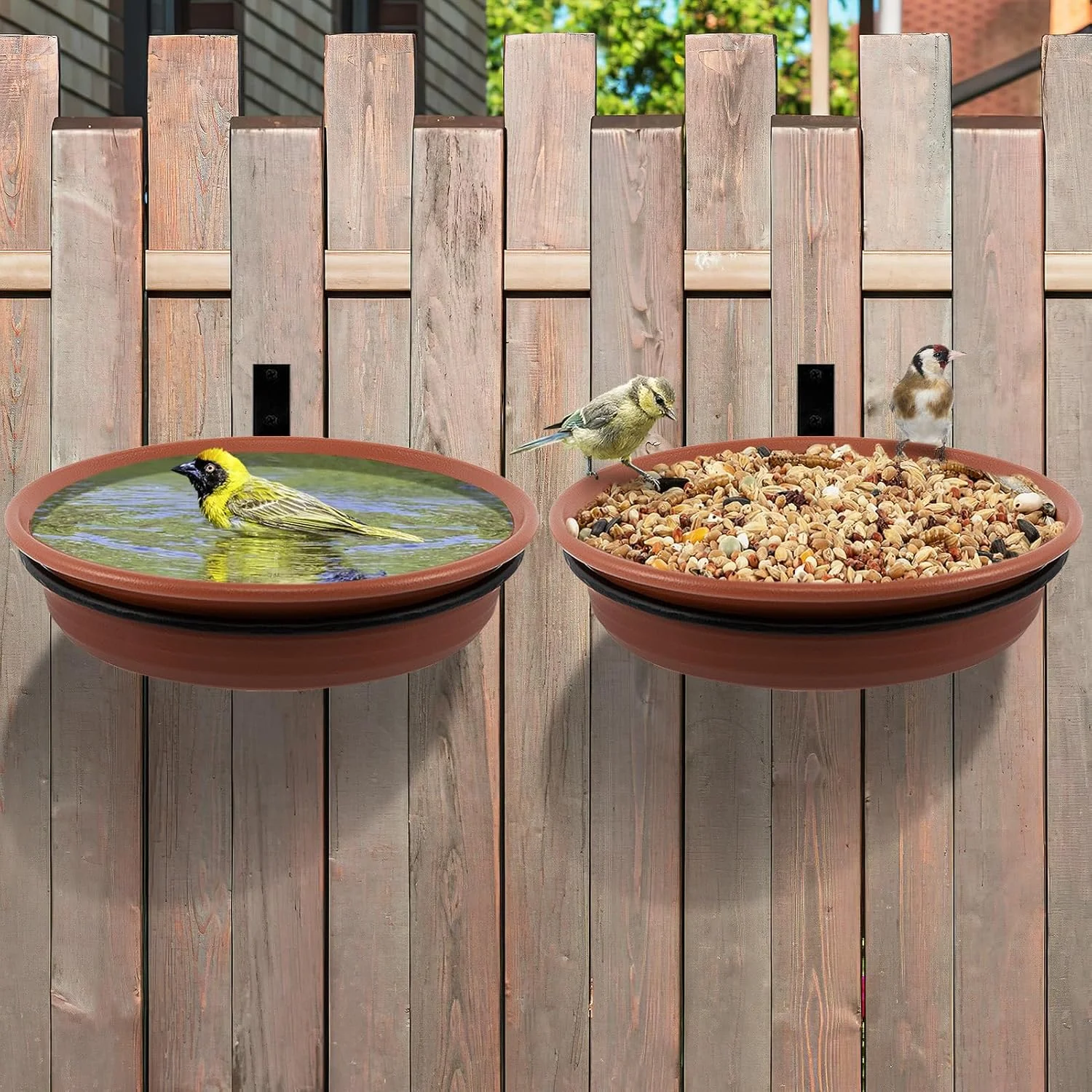 #80 Best Bird Feeders to Buy In 2026