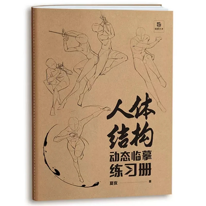 

Professional Painting Book Human Body Structure Illustration Basic Technique Tutorial Painting Manuscript Practice Book Beginner