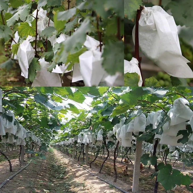 50Pcs Non-Woven Garden Fruit Protection Bags, Fine Mesh Netting Drawstring Bags Against Insects & Birds, Reusable for Grapes,