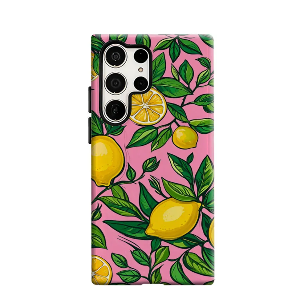 CaseLumi Phone Case For Samsung Galaxy S25 S24 S23 Ultra Plus HD Hard Citrus Pop Delight Double Layer Cover Film Shell