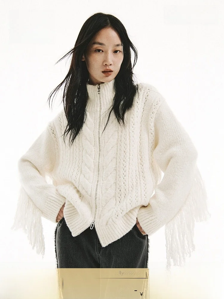 

H&M Весенний женский кардиган с бахромой и молнией, повседневный, тонкий, из смесовой ткани (шерсть, полиэстер, спандекс, акрил, хлопок)