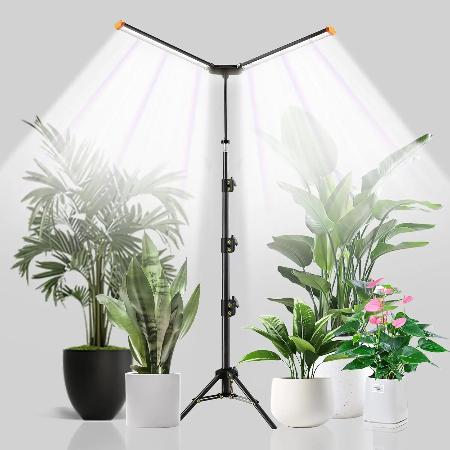 Full Spectrum Led F…