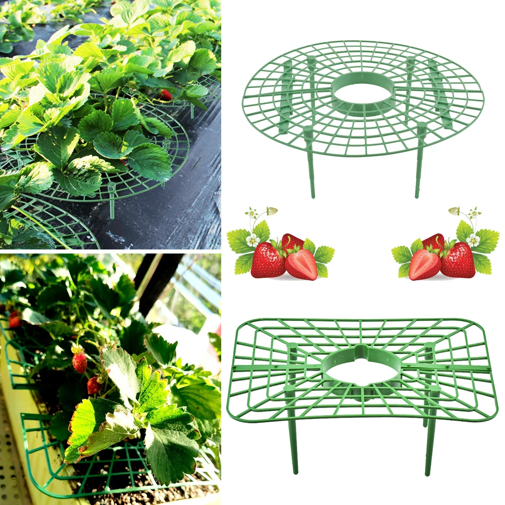 

Strawberry Stand Frame Holder Gardening Stand Plant Tray Rack Fruit Support Plant Flower Climbing Vine Pillar