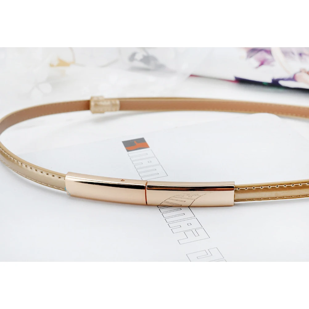 

1Pcs Chic Leather Belt Elegant Dress Waistband Stylish Party Costume Accessories for Women Ladies