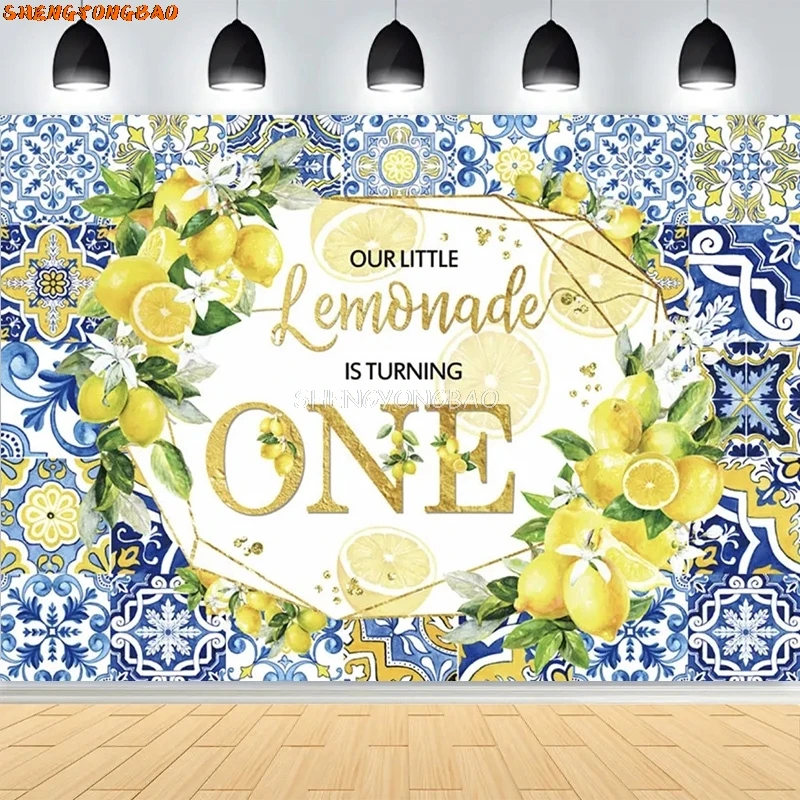 الأزرق سيراميك الليمون خلفيات للتصوير الفوتوغرافي الدعائم استحمام الطفل حفلة عيد ميلاد العروس الزفاف استوديو الصور خلفية OB-01