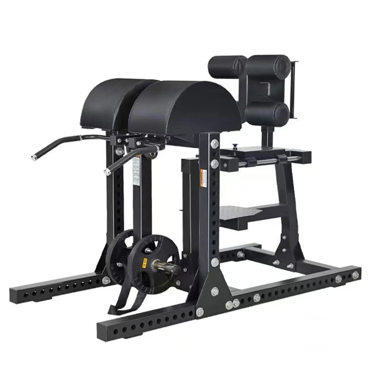 forHeavy-duty Roman Chair Abdominal Back Extension Training Prone Reverse Leg Llift Flexion Machine