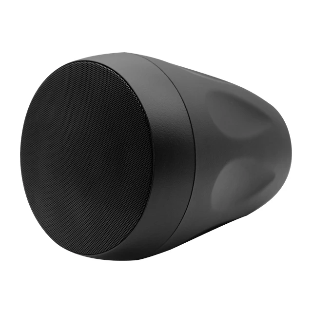 6.5inch 40w White Black Pendant Speaker Universal Multi-purpose All-weather Outdoor Waterproof Speaker