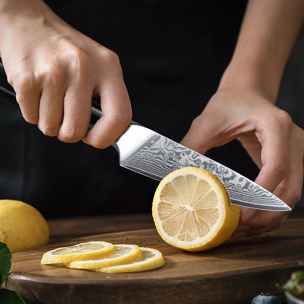 F.YOUNG 3.5 Inch Paring Knife 67 Layer Damascus Steel VG10 Steel Core Sharp Utility Vegetable Peeling Fruit Knife Household Tool