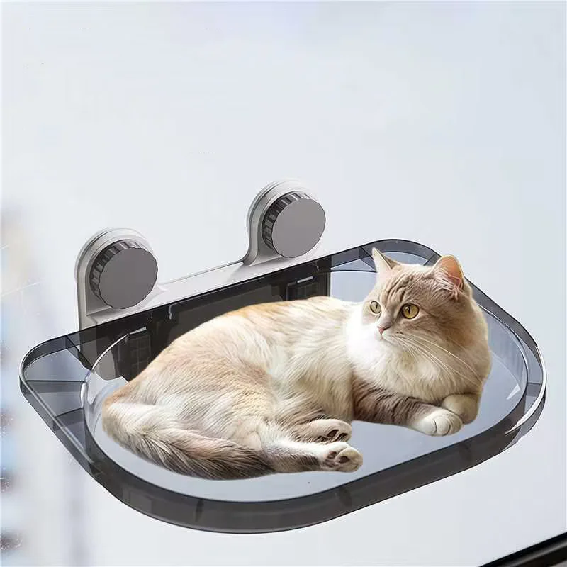 

Pet Basket Transparent Cat Crawler, Dog Nest Cat and Dog Toys, Pet Stand Small Pet Supplies, Cat Bed Cat Supplies