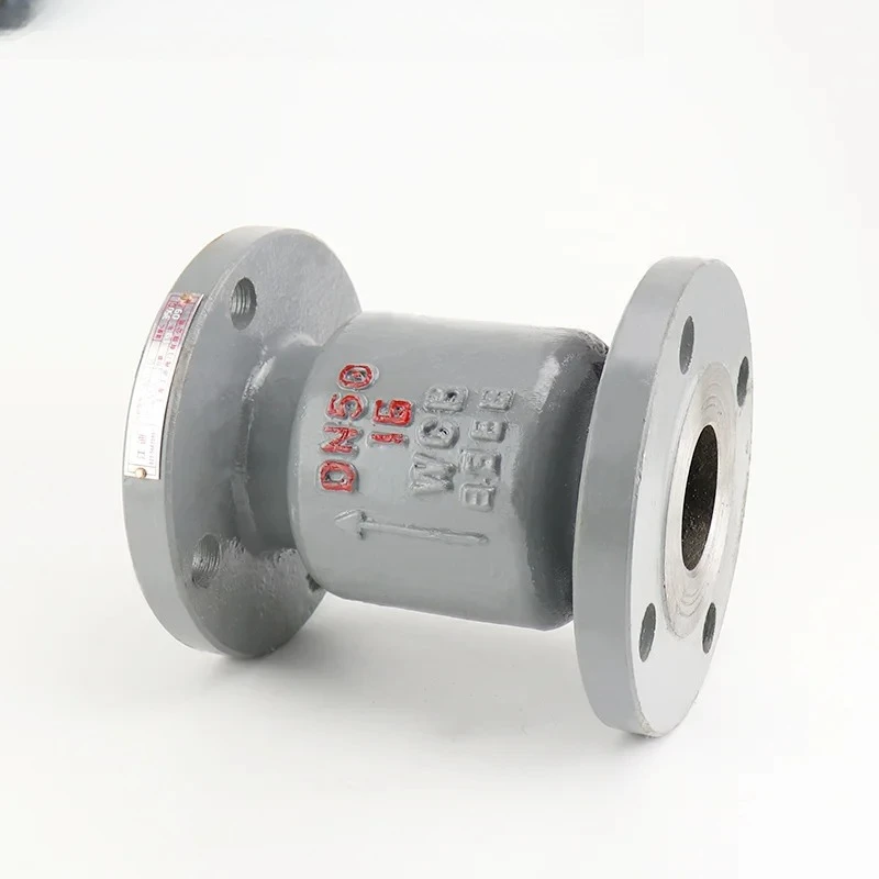 Cast Steel Vertical One-way Check Valve H42H-16C Pump Outlet Vertical Steam Check Valve Manufactured in China