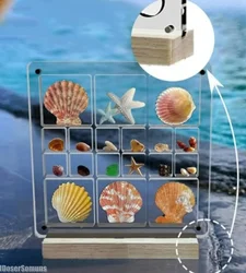 Acrylic 18 Grids Magnetic Seashell Display Stands Box Jewellery Crafts Collection Containers Desktop Decor Storage Organizer