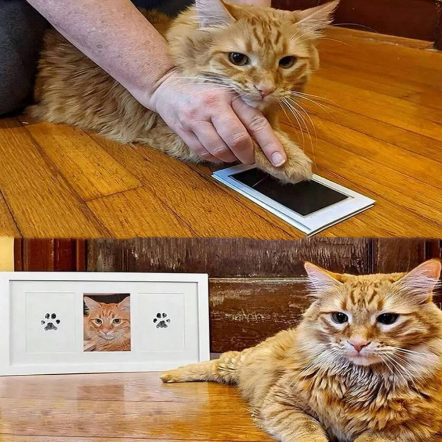 3 adet evcil hayvan ayak izi baskı masası, yıkamasız ayak kedi ve köpek hatıra DIY evcil hayvan fotoğraf albümü pençe baskı sürtünme, iki parçalı