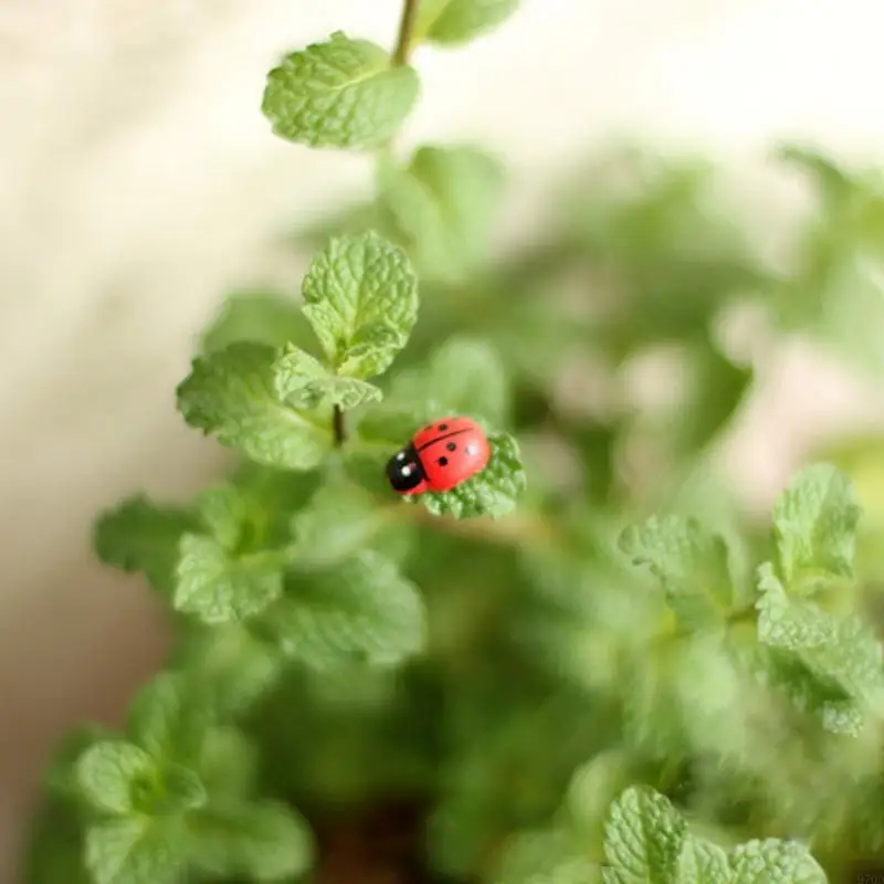 97qd 10pcs mini coccinella coccinella per bambole ornamenta arredamento da giardino