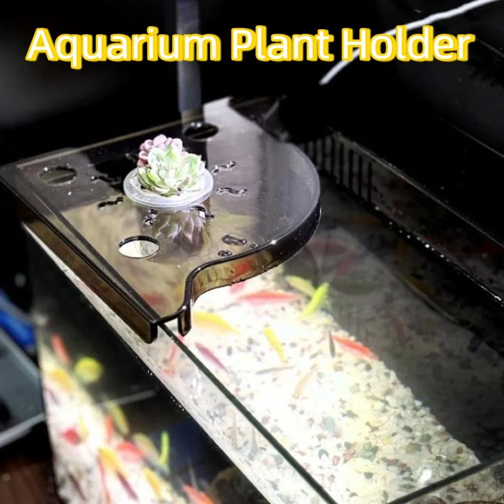 

Triangle Fish Tank Corner Storage Rack Clear Easy Installation Aquarium Plant Holder Decorative Space Saving