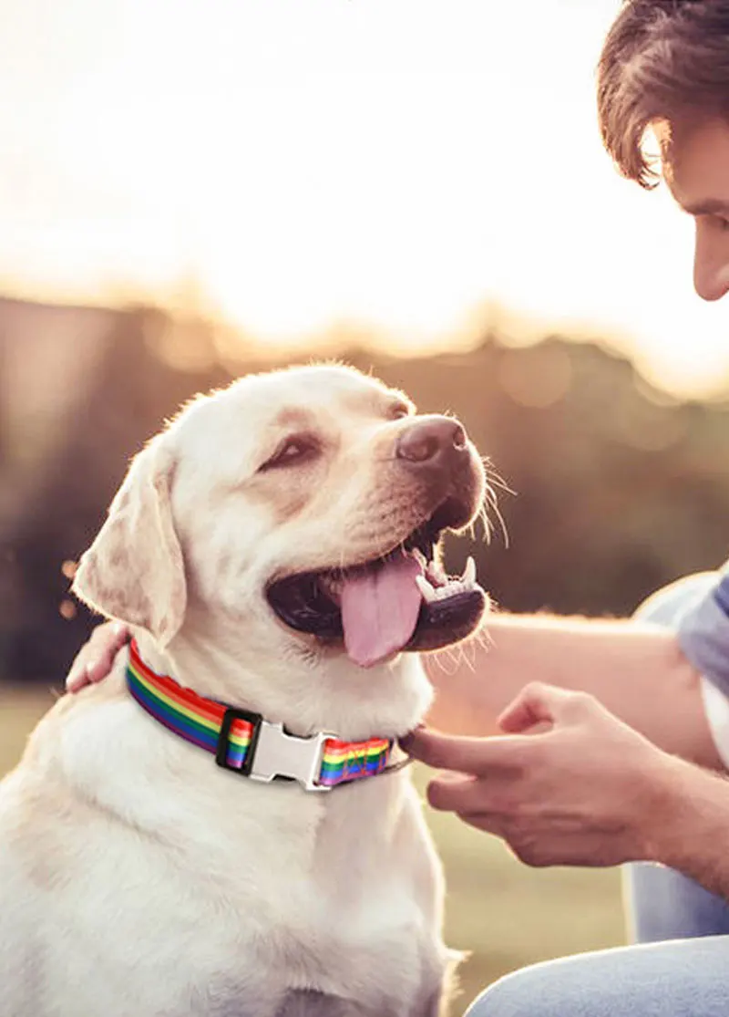 Waldmuster-Halsband für Haustiere, gestreift, aus Polyester, im nationalen Stil, verstellbares Nylon-Hundehalsband, personalisiert – Detail 7