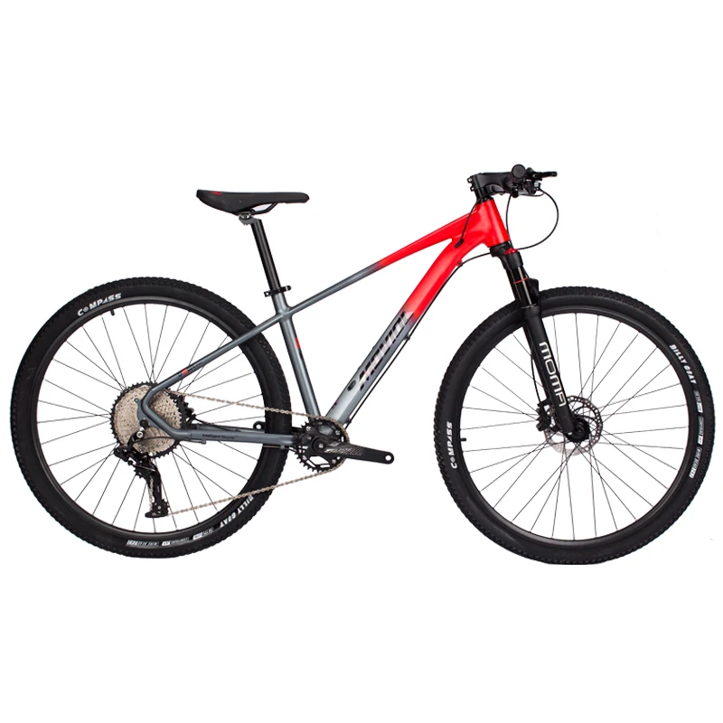 Aluminum Alloy Mountain Bicycle for Adults, Dirt Bike, MTB, Double Oil Disc Brake, Cross Country Bikes, 29\