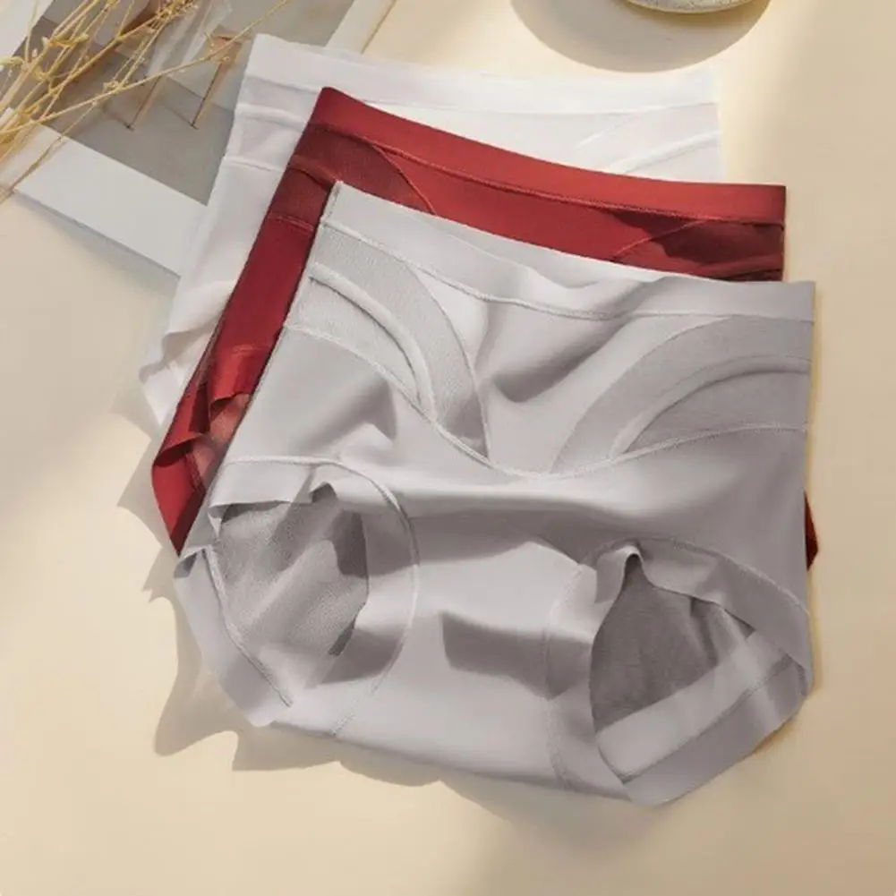 Seamless High-Rise Tummy Control Briefs Women Underwear Soft Stretchy Silky Fabric Mesh Panels No Visible Panty Lines Panties