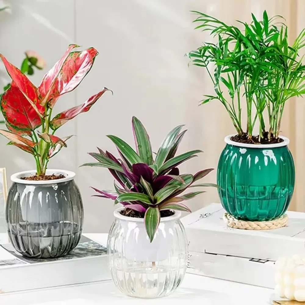 

New Self Watering Hydroponic Plants Pot Plastic Removable Flowerpot Mini Succulent Planter