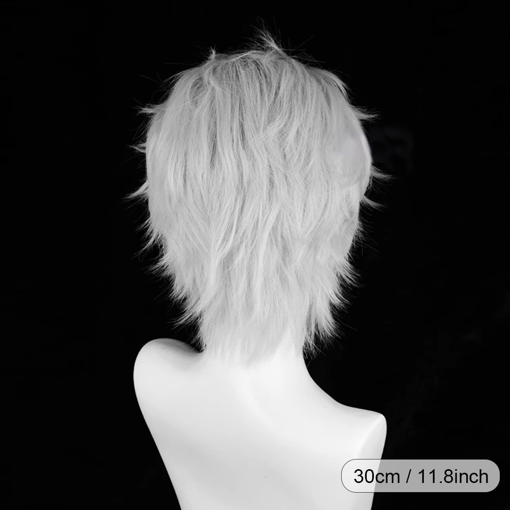 RANYU Short Silver White Straight Synthetic Wig Middle Part Anime Game Cosplay Men Fluffy Hair Wig for Daily Party